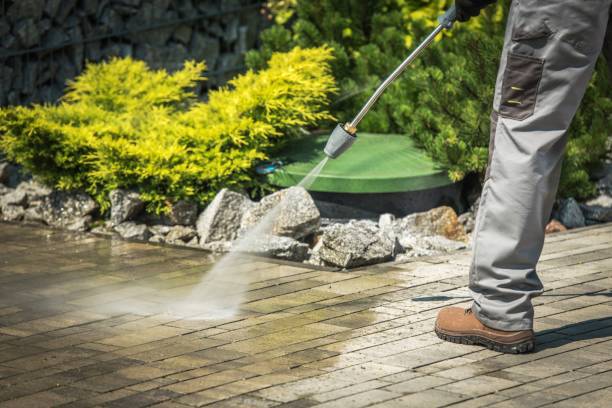 Best Solar Panel Cleaning  in Gig Harbor, WA